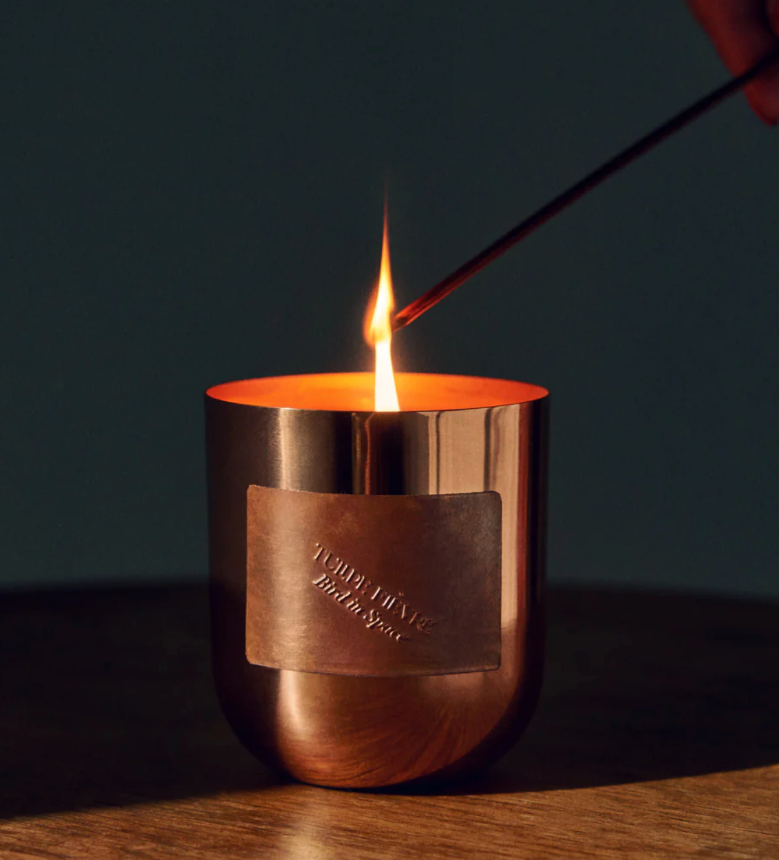 Tulipe fievre Bird In Space Candle