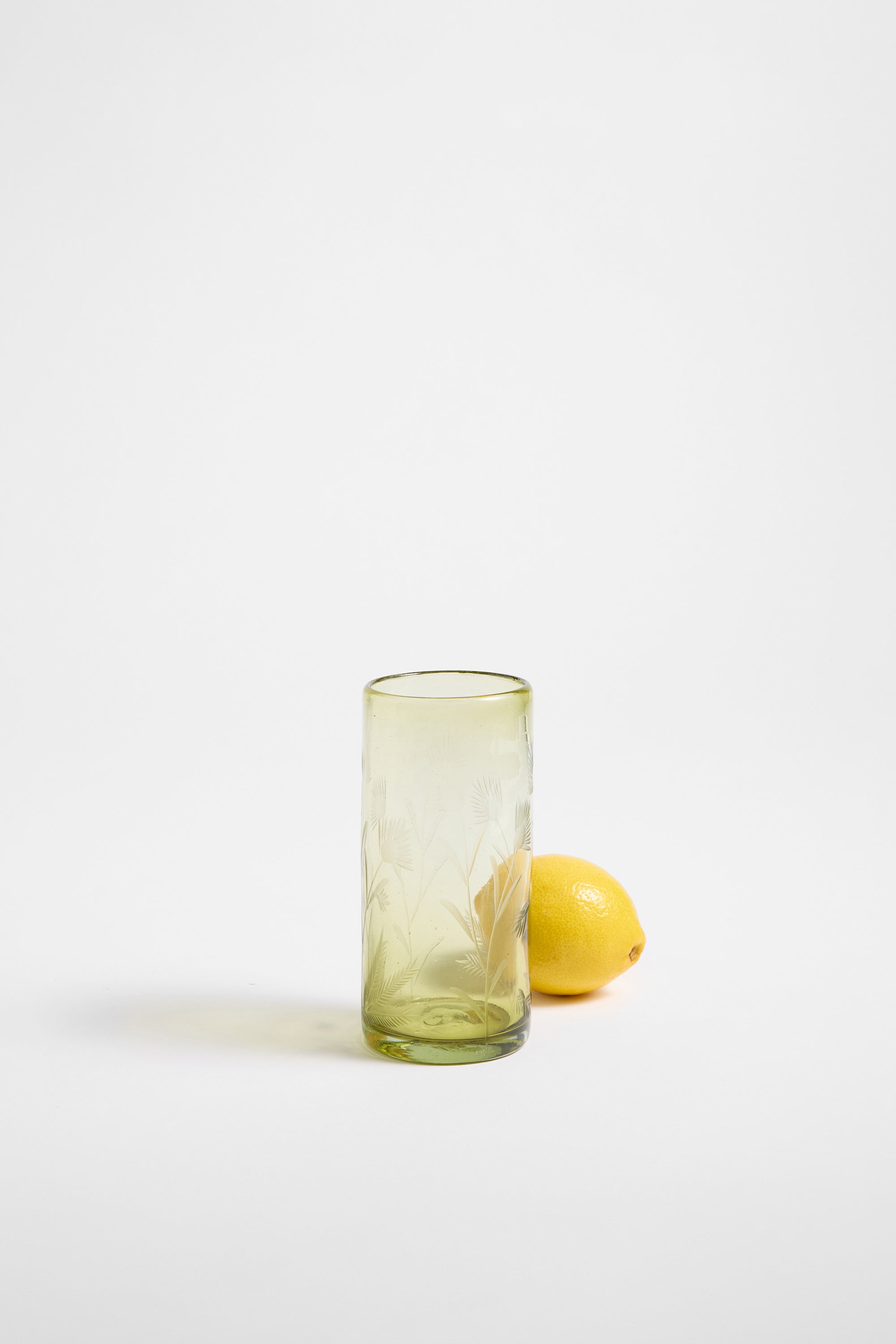 Etched Thistle Recycled Glassware, Highball SET OF 4